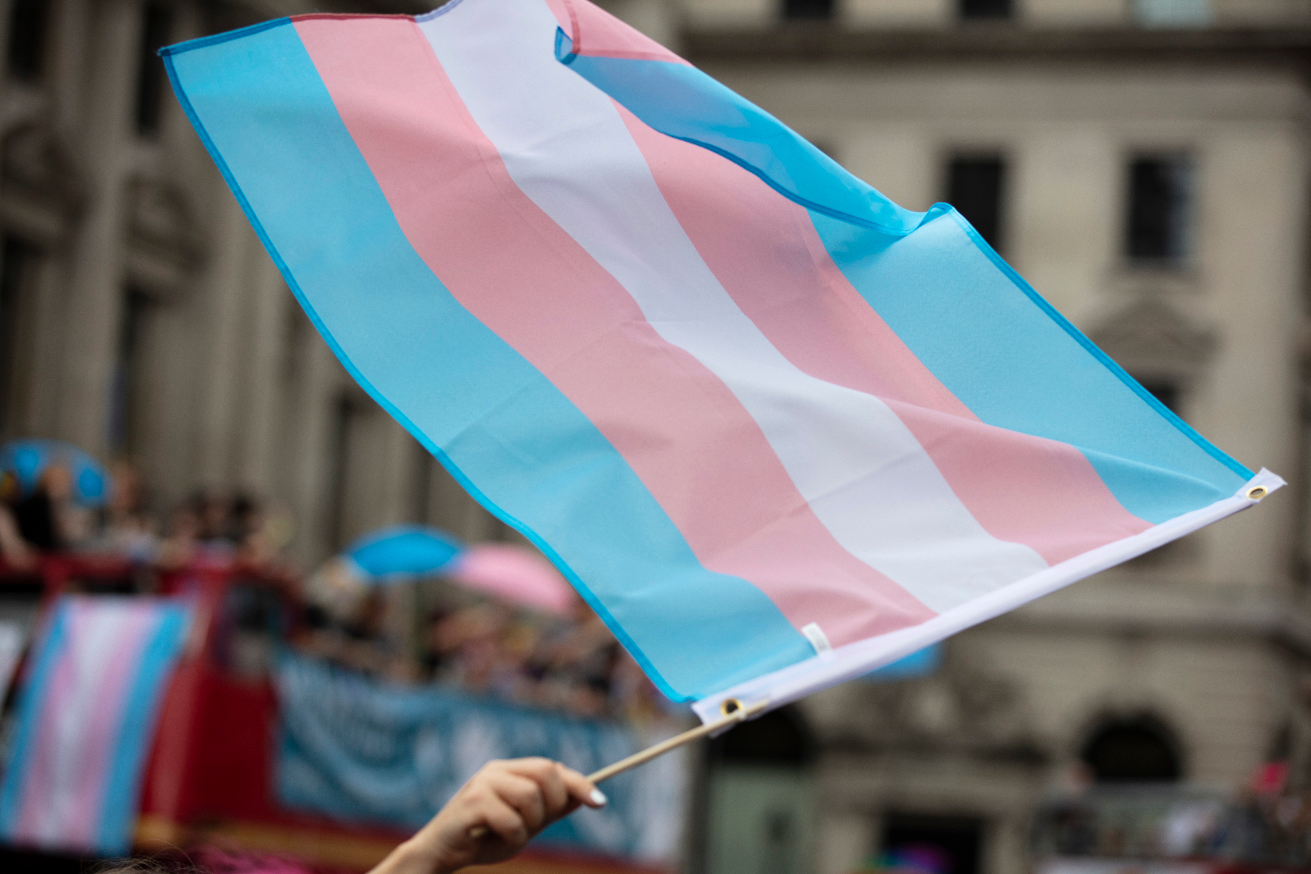 Person holding a transgender pride flag aloft at a parade.